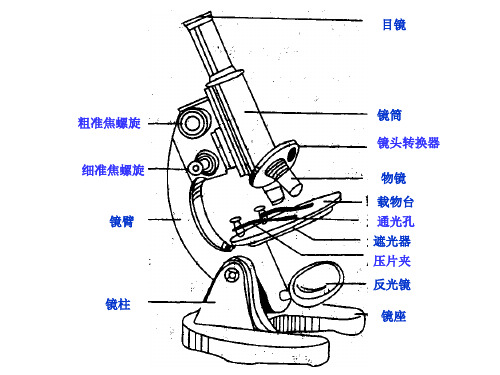 八年级生物结业考试识图重点