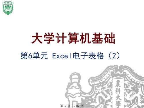 大学计算机基础 -Excel电子表格(2)