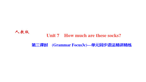 人教版七年级英语上册第三课时 (Grammar Focus3c)—单元同步语法精讲精练 (2)