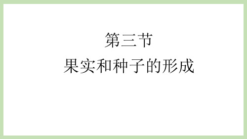 果实和种子的形成 济南版八年级生物上册