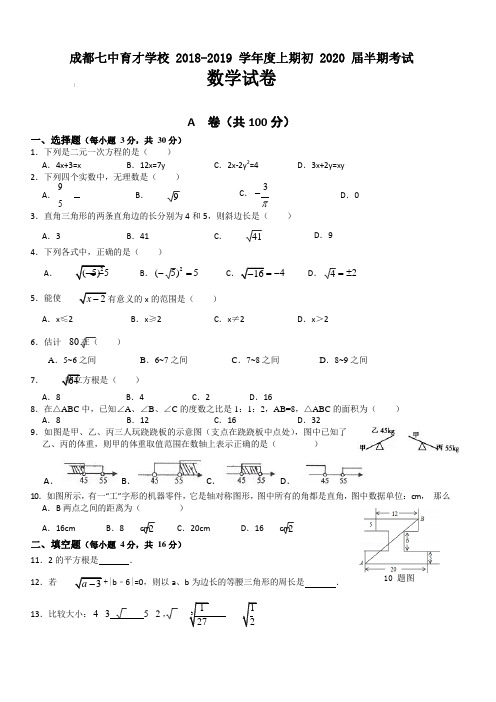 四川省成都市七中育才学校2018-2019学年八年级上学期期中测试数学试题(含答案)