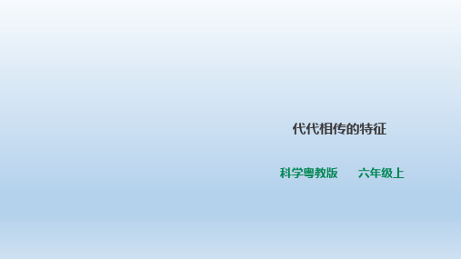 六年级上册科学课件《代代相传的特征》l粤教版