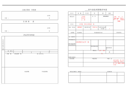 职称申报评审表(模板)