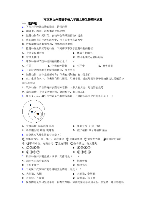 南京东山外国语学校八年级上册生物期末试卷