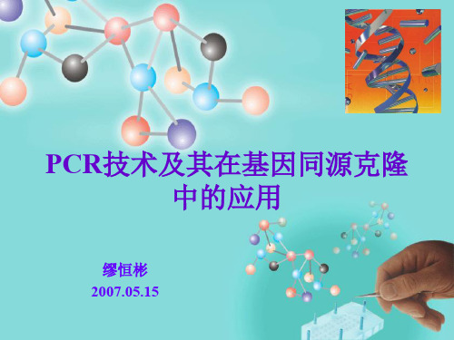 PCR和简并引物设计