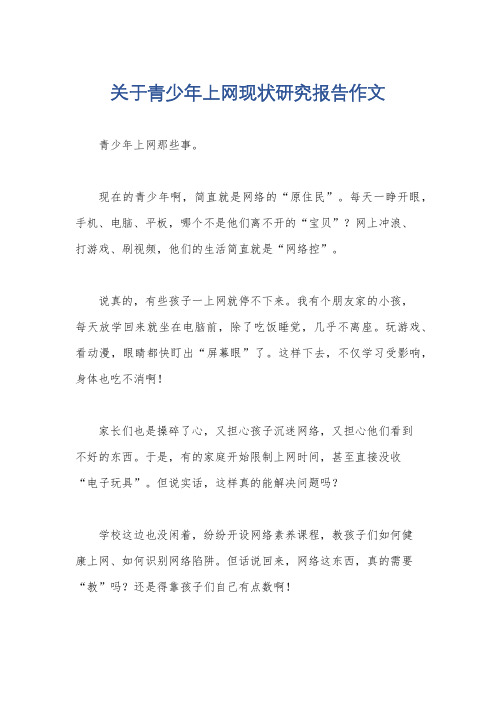 关于青少年上网现状研究报告作文