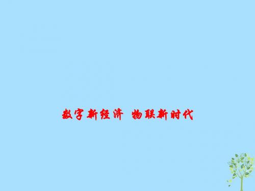 2019年高考政治总复习时政热点数字新经济物联新时代课件