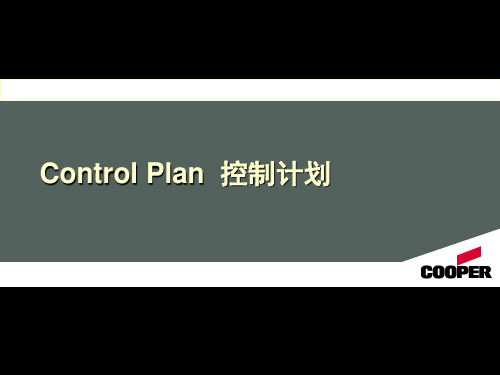 Control Plan控制计划