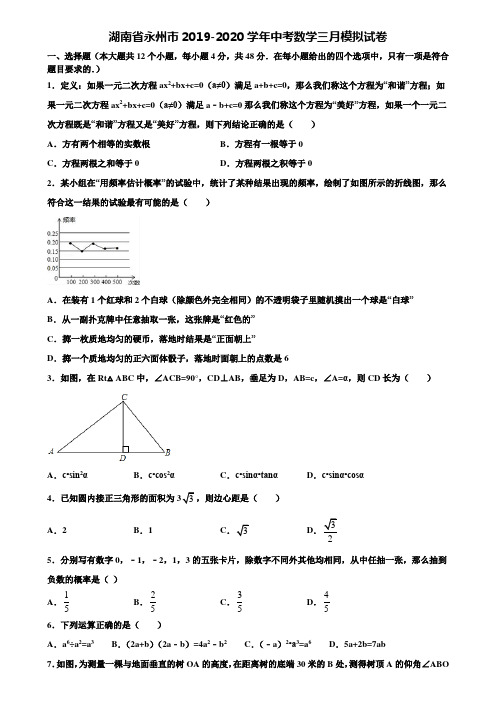 湖南省永州市2019-2020学年中考数学三月模拟试卷含解析