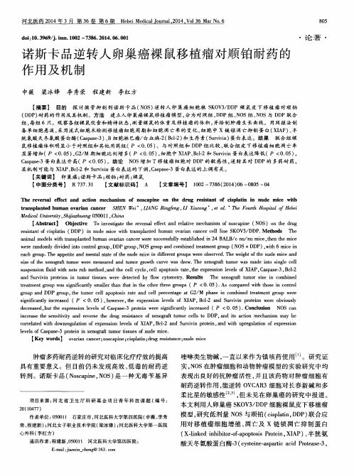 诺斯卡品逆转人卵巢癌裸鼠移植瘤对顺铂耐药的作用及机制