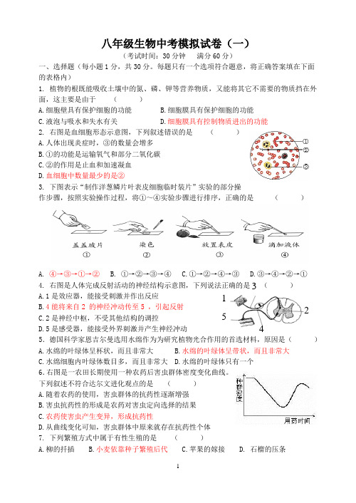 八年级生物中考模拟试卷-附答案