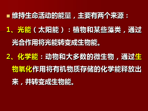 理学生物氧化与氧化磷酸化