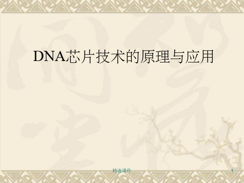 DNA芯片技术的原理与应用