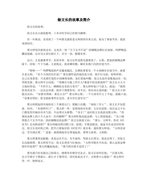 徐文长的故事及简介