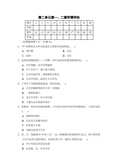 2024年人教版七年级生物上册 第二单元第一、二章学情评估(含答案)