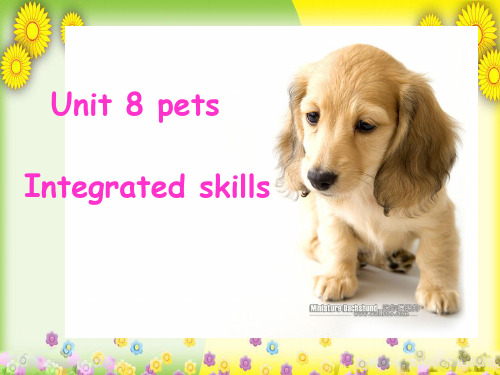 牛津译林初中英语七下Unit 8 Pets Integrated skills课件2 