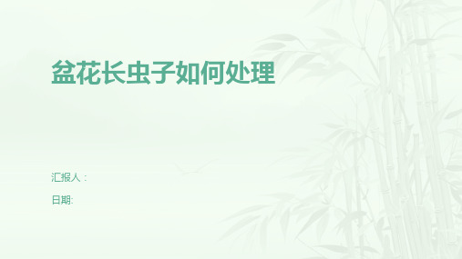 盆花长虫子如何处理