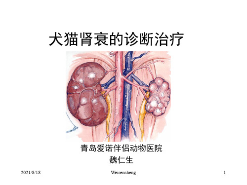 犬猫肾脏疾病的诊断治疗