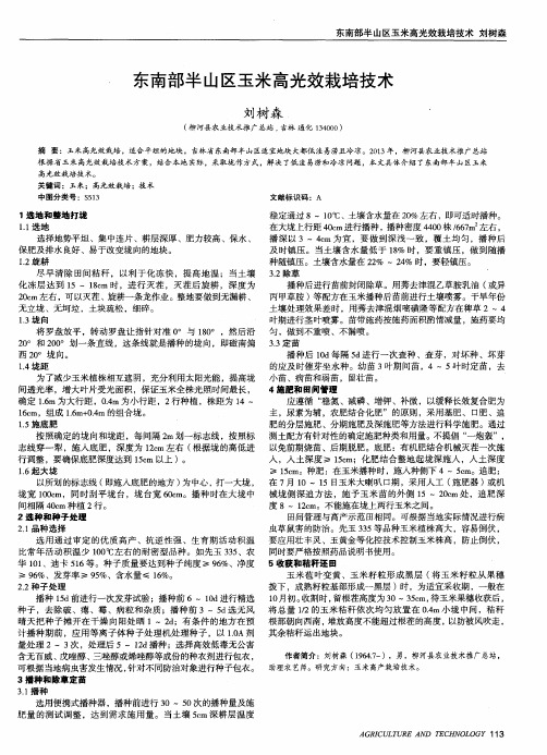 东南部半山区玉米高光效栽培技术