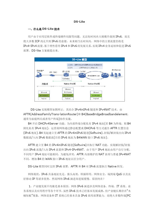 DS-lite文档