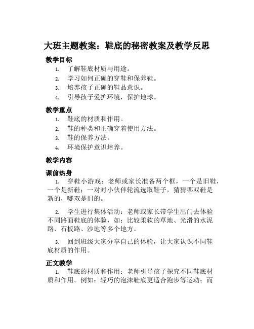 大班主题教案鞋底的秘密教案及教学反思