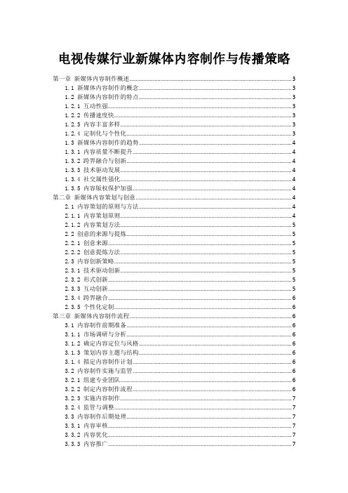 电视传媒行业新媒体内容制作与传播策略