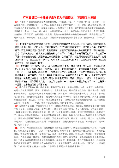 广东省湛江一中锦绣华景学校九年级语文 口语练习 新人教版