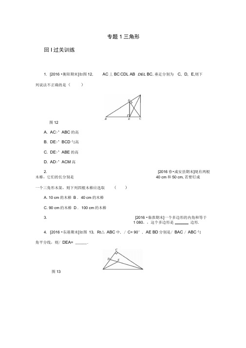 八年级数学上册期末复习专题1三角形同步训练(新版)新人教版