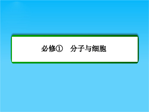 【名师一号】高考生物(人教版通用)总复习教学课件第7讲 物质跨膜运输的实例(共68张PPT)