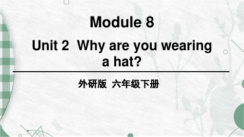 外研版小学英语 六年级下册 Module8 Unit 2 Why are you wearing a hat 教学课件PPT