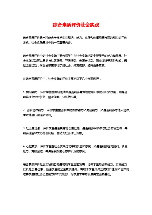 综合素质评价社会实践