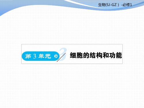 2019-2020学年高中苏教版生物必修一课件：第3章 第1课时