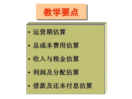 财务效益与费用估算ccyo.pptx