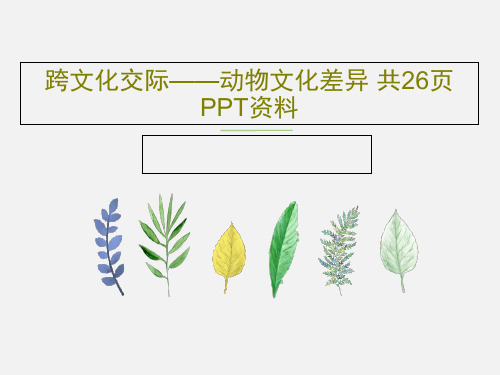 跨文化交际——动物文化差异 共26页PPT资料共28页文档