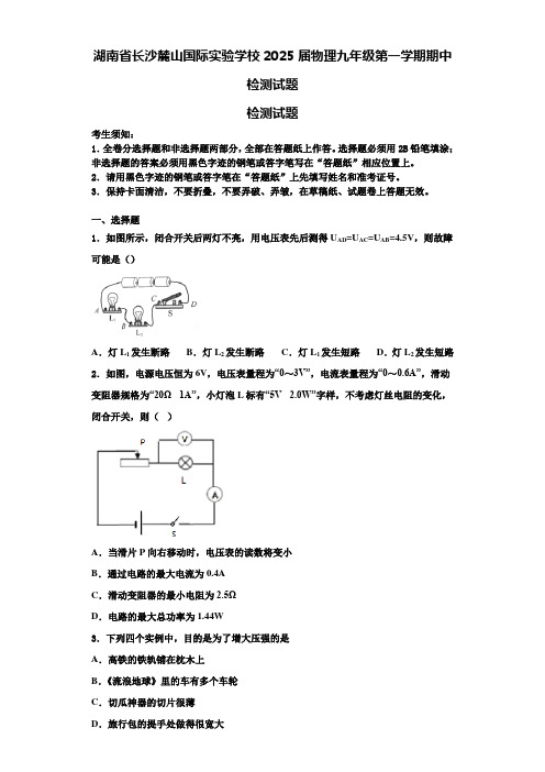 湖南省长沙麓山国际实验学校2025届物理九年级第一学期期中检测试题含解析