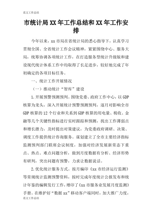 【工作总结范文】市统计局XX年工作检查及评价分析研究性工作总结和XX年工作安排