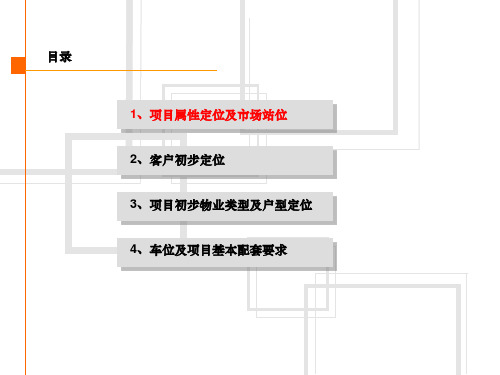 房地产项目定位报告