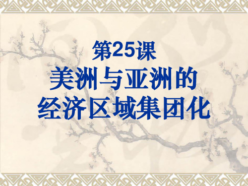 第25课美洲与亚洲的经济区域集团化课件2(岳麓版必修2)