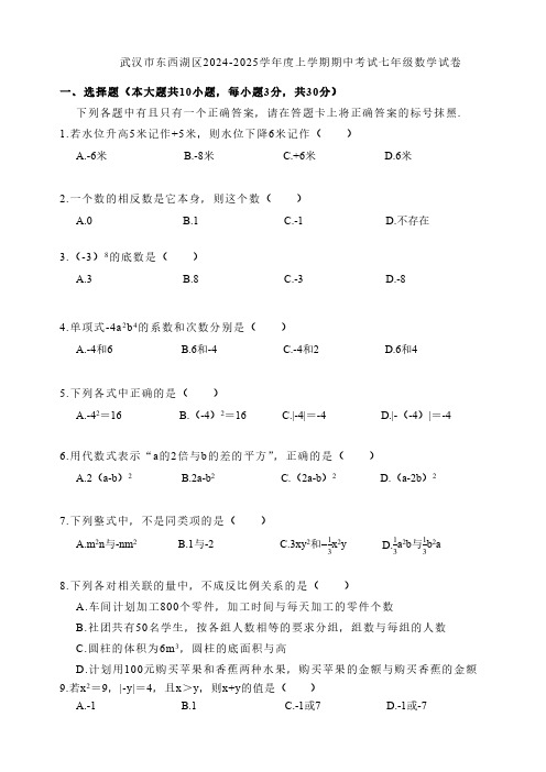 武汉市东西湖区2024-2025学年度上学期期中考试七年级数学试卷