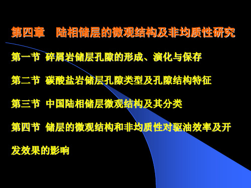 4储层的微观结构及非均质性研究(给学生)