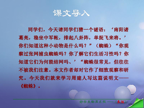 七年级语文下册第4单元14蜘蛛PPT语文省公开课一等奖新名师优质课获奖PPT课件