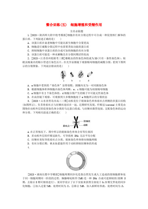 统考版2024高考生物二轮专题复习整合训练5细胞增殖和受精作用