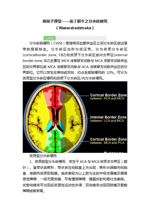 萌妹子课堂——庖丁解牛之分水岭梗死（Watershedstroke）