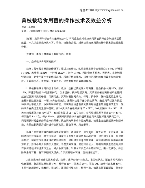 桑枝栽培食用菌的操作技术及效益分析