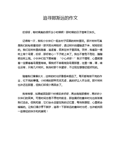 追寻那渐远的作文