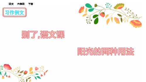 部编六年级语文下册习作例文课件、初试身手.pptx