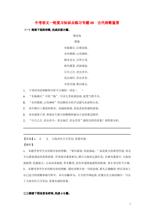 中考语文一轮复习专题09古代诗歌鉴赏知识点练习