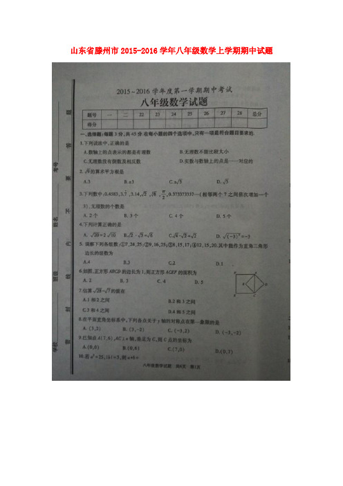 山东省滕州市八年级数学上学期期中试题(扫描版) 北师