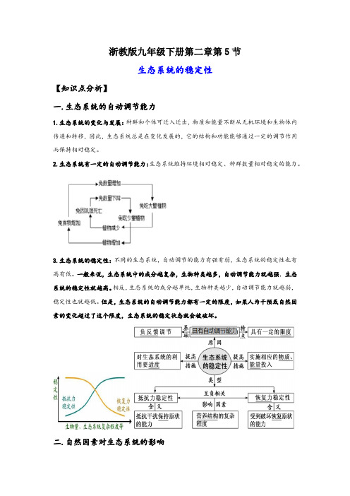 浙教版九年级下册科学讲练课堂2.5生态系统的稳定性(讲义)(原卷版+解析)