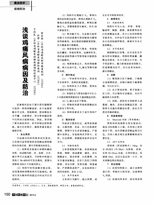 浅谈鸡痛风病病因及防治